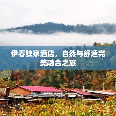 伊春獨家酒店，自然與舒適完美融合之旅