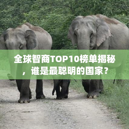 全球智商TOP10榜單揭秘，誰是最聰明的國家？