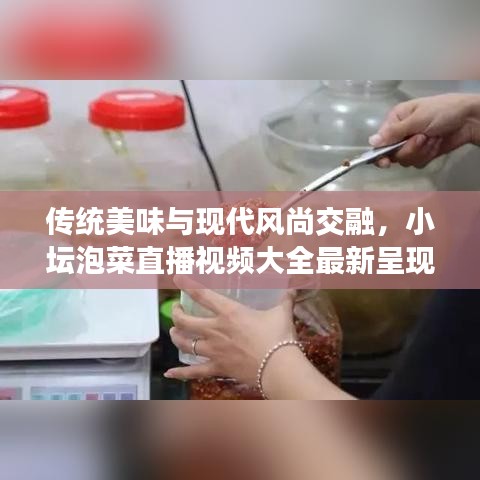 傳統(tǒng)美味與現(xiàn)代風尚交融，小壇泡菜直播視頻大全最新呈現(xiàn)