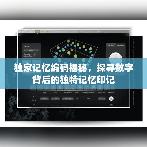 獨家記憶編碼揭秘，探尋數(shù)字背后的獨特記憶印記