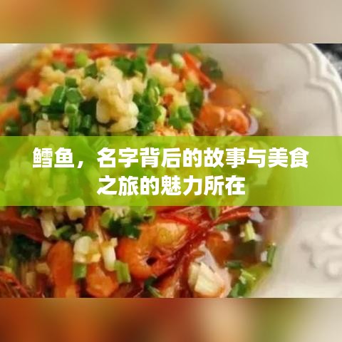 鱈魚(yú)，名字背后的故事與美食之旅的魅力所在