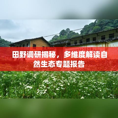 田野調(diào)研揭秘，多維度解讀自然生態(tài)專題報(bào)告