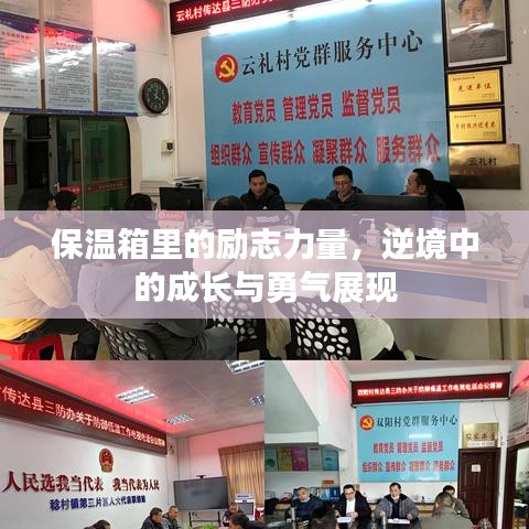 保溫箱里的勵志力量，逆境中的成長與勇氣展現(xiàn)