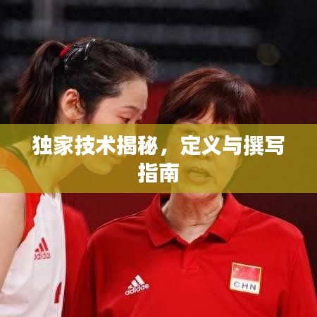獨(dú)家技術(shù)揭秘，定義與撰寫(xiě)指南
