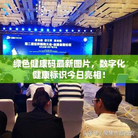綠色健康碼最新圖片，數(shù)字化健康標(biāo)識(shí)今日亮相！