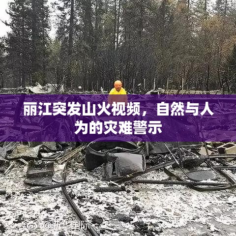 麗江突發(fā)山火視頻，自然與人為的災(zāi)難警示