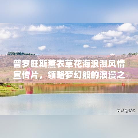 普羅旺斯薰衣草花海浪漫風(fēng)情宣傳片，領(lǐng)略夢幻般的浪漫之旅！