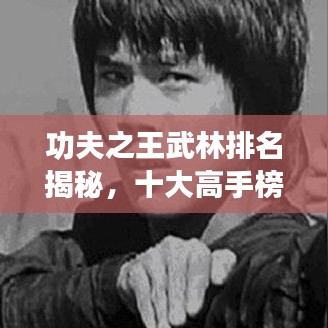 功夫之王武林排名揭秘，十大高手榜單震撼來(lái)襲！