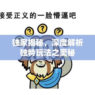 獨(dú)家揭秘，深度解析獨(dú)特玩法之奧秘