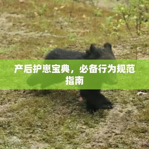 產(chǎn)后護(hù)崽寶典，必備行為規(guī)范指南