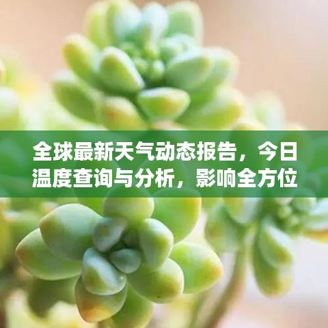 全球最新天氣動(dòng)態(tài)報(bào)告，今日溫度查詢與分析，影響全方位解讀
