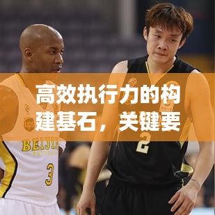 高效執(zhí)行力的構(gòu)建基石，關(guān)鍵要素與策略實(shí)施