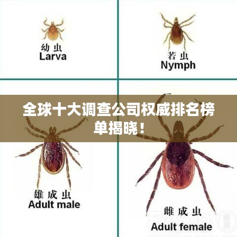 全球十大調(diào)查公司權(quán)威排名榜單揭曉！