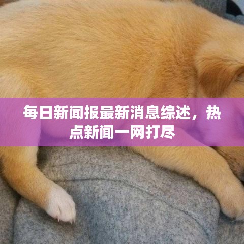 每日新聞報最新消息綜述，熱點新聞一網打盡